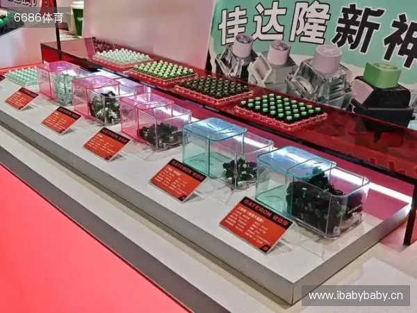 穆斯卡特:林加德踢得非常好;海港的长远计划需要商讨